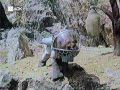 044[(041778)11-48-33].JPG